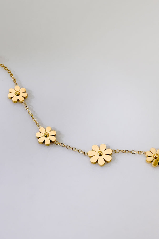 DD7011-370-450-GOL (Stainless Steel)