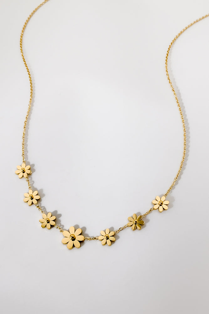 DD7022-370-450-GOL (Stainless Steel)