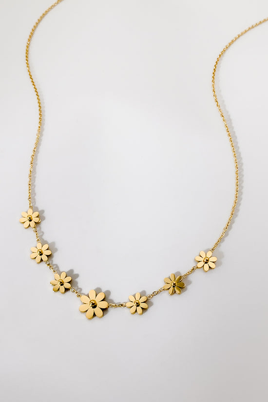 DD7022-370-450-GOL (Stainless Steel)