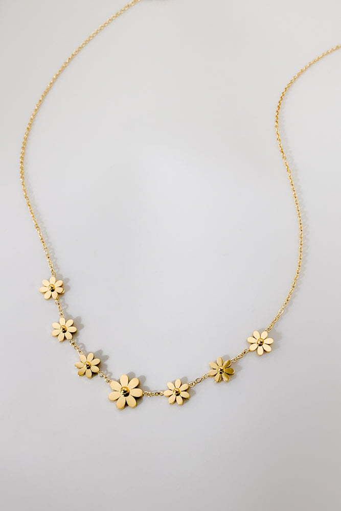 DD7022-370-450-GOL (Stainless Steel)