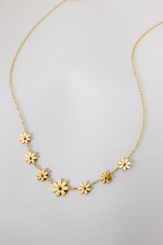 DD7022-370-450-GOL (Stainless Steel)