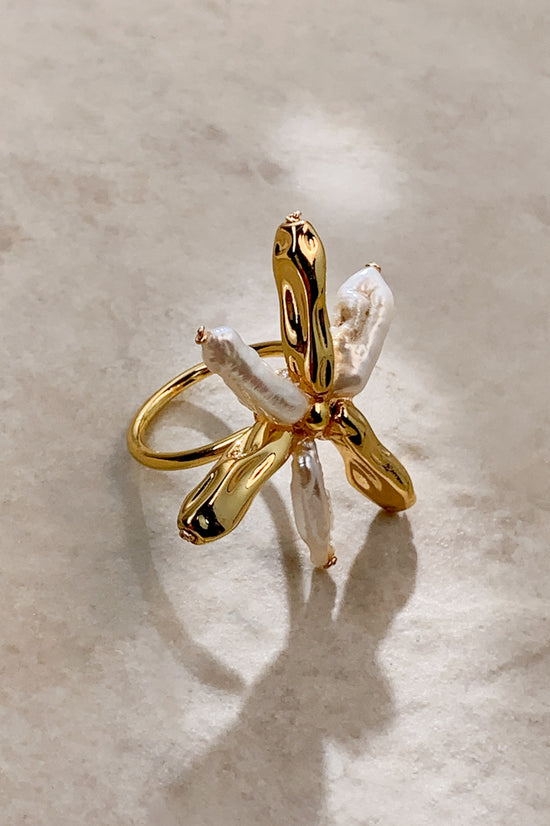 HC9242-1220-1300-FWP