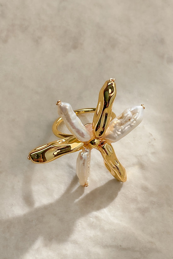 HC9242-1220-1300-FWP