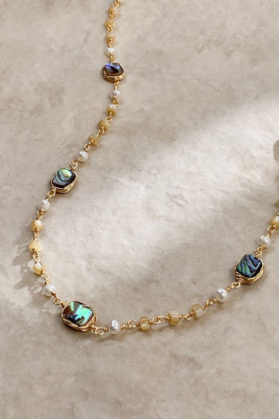 HC9253-1300-1380-GSH