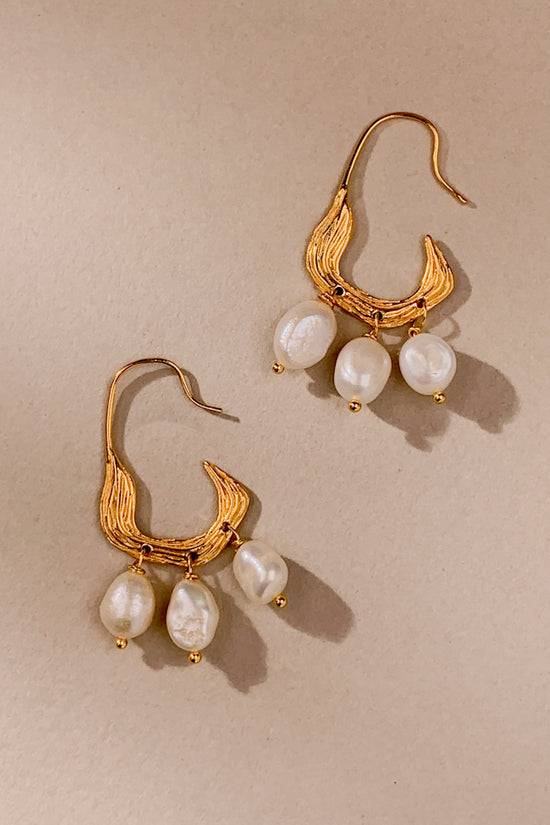 HC9307-1020-1100-FWP