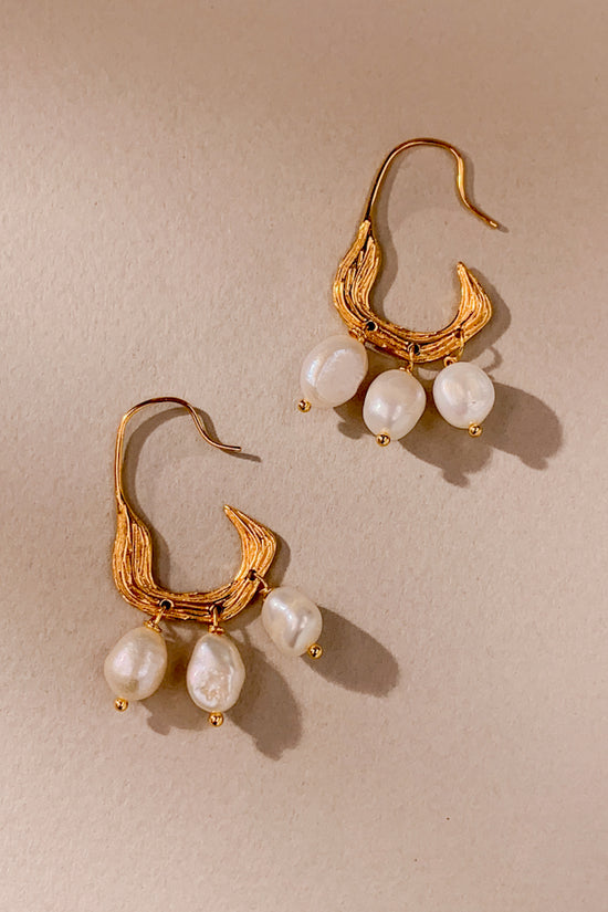 HC9307-1020-1100-FWP