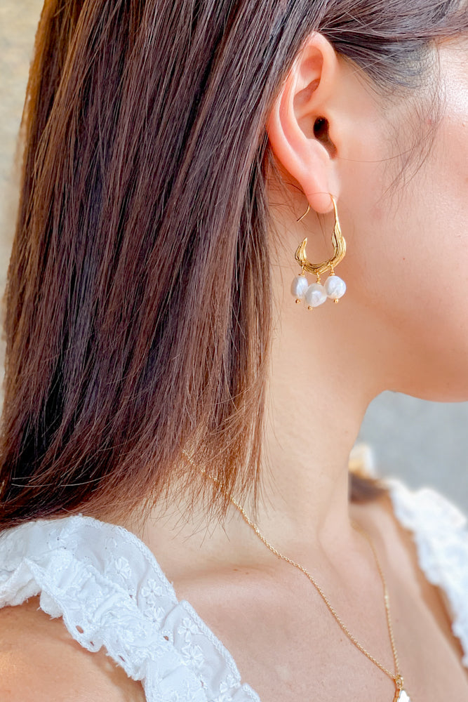 HC9307-1020-1100-FWP