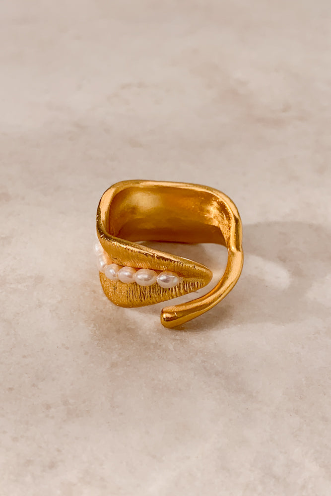 HC9359-1080-1160-FWP