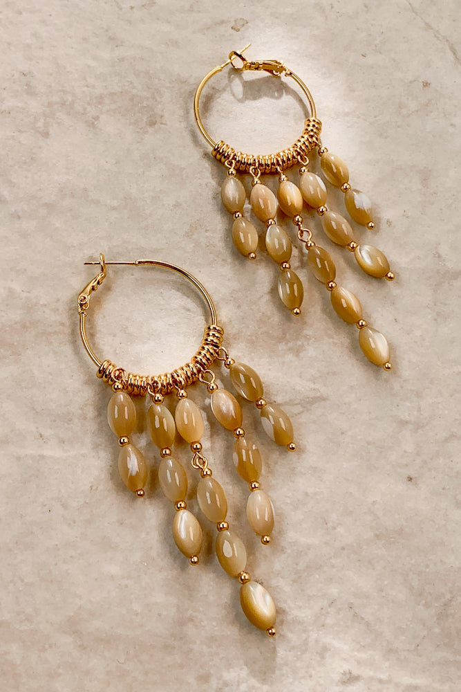 HC9234-1220-1300-SHL