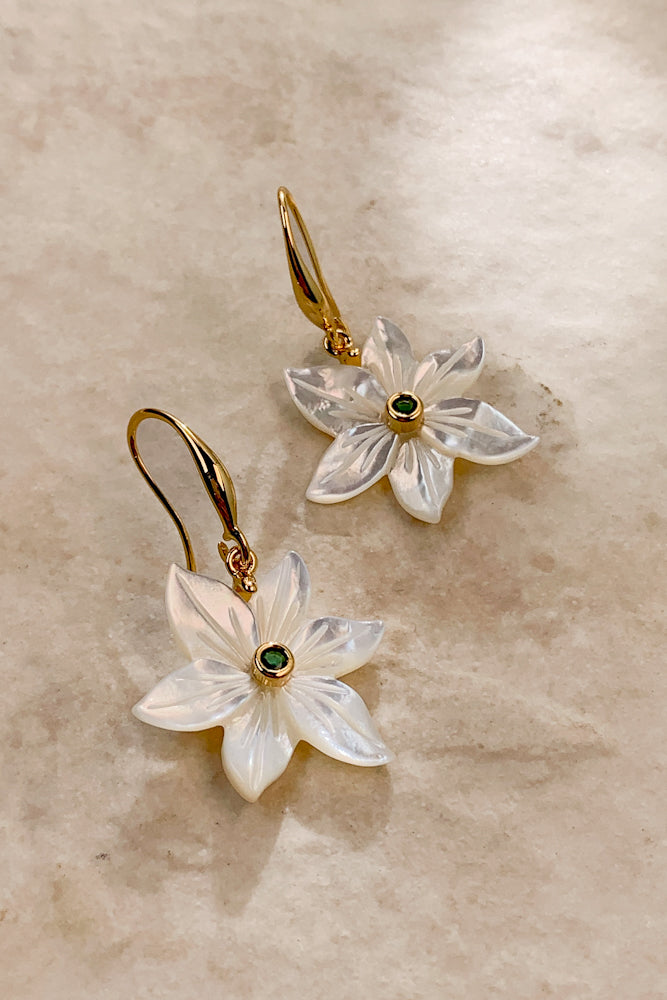 HC9235-1180-1260-SHL