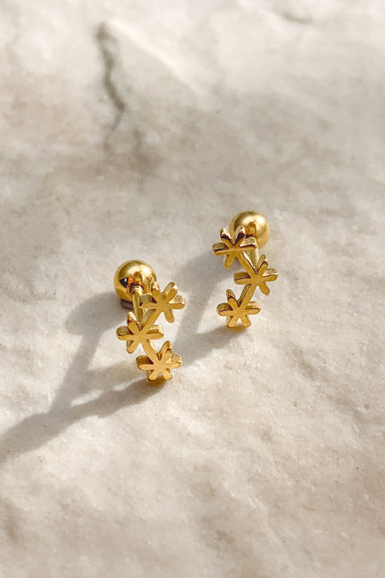 KA3019-220-300-GOL (Stainless Steel)