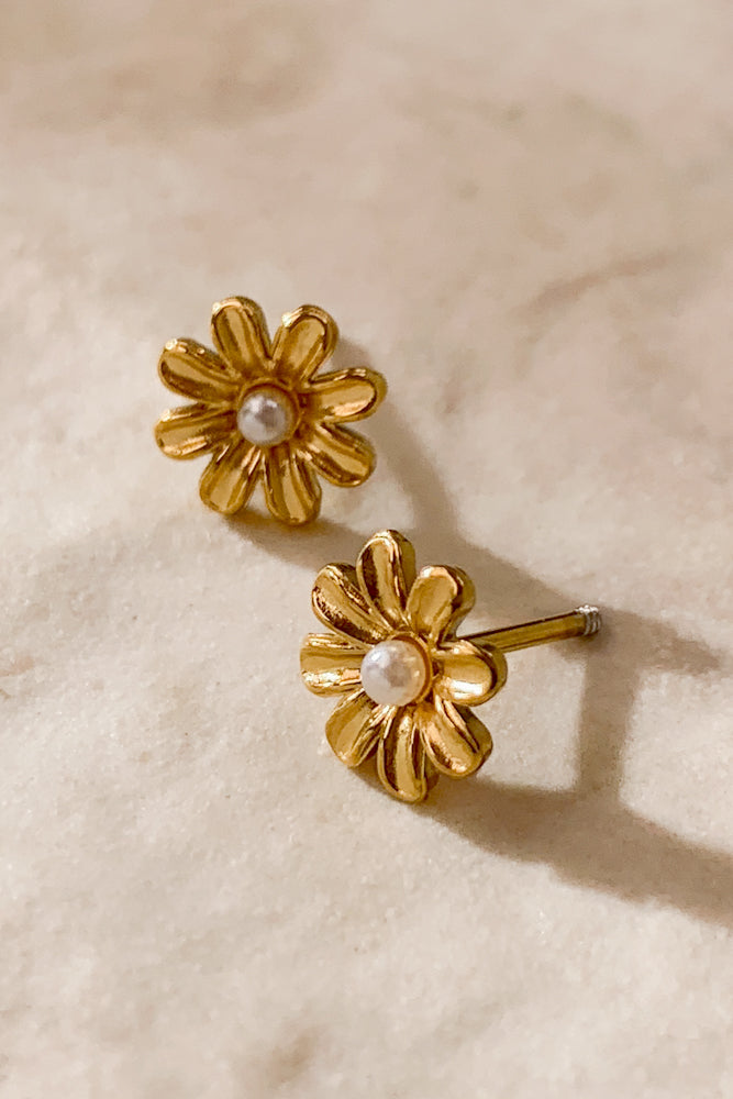 KA3041-250-330-GOL (Stainless Steel)