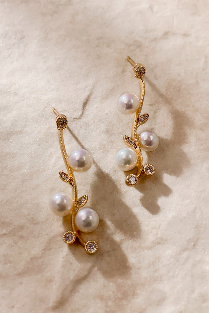 SS2101-1920-2000-FWP