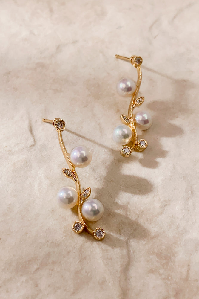 SS2101-1920-2000-FWP