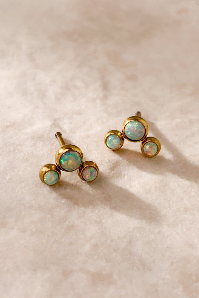 ZM4004-520-600-OPL (Stainless Steel)